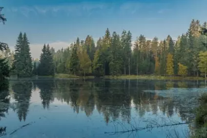 Naturschutzgebiet