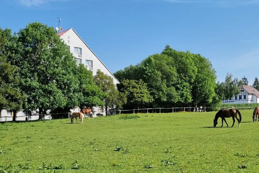 Immunitätssteigerndes Behandlungspaket