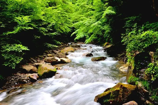 Víkendové pobyty nebo dovolená s rodinnou, dovolená s mazlíčky